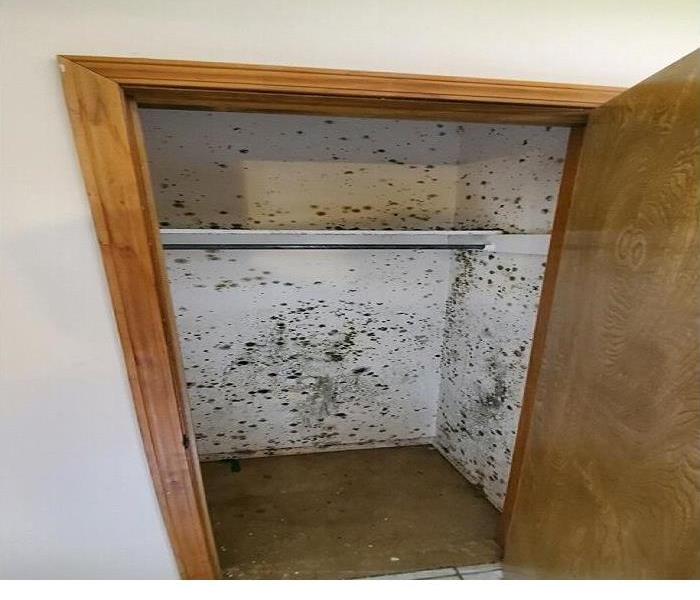 mold present in coat closet with white background
